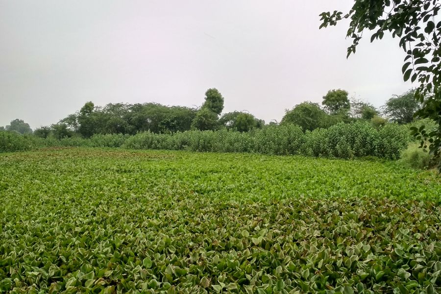 Shree shyam Kund Baba Mandir- images