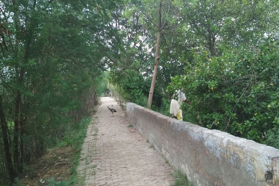 Shree shyam Kund Baba Mandir- images