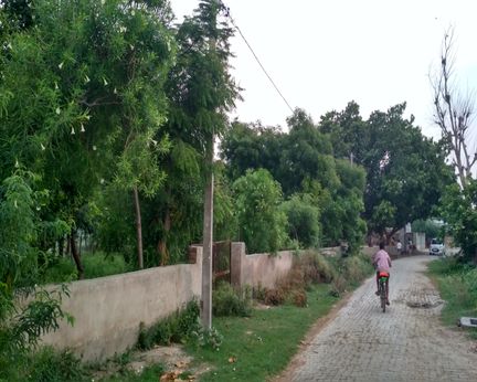 Shree Shyam Kund Baba Mandir, Sainwa